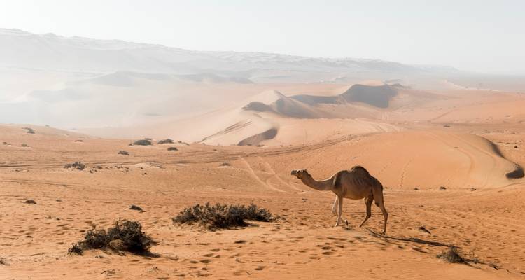 Voyage Oman - Circuit Oman et baignade - Oasis Travel 4