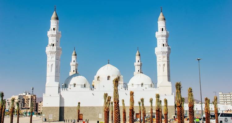 Saudi Arabia: Undiscovered Kingdom 7 Days - Oasis Travel 8