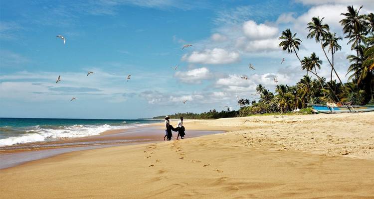 Sri Lanka: World Heritage and Beach Vacation in Passikudah - 14 days - Oasis Travel 6