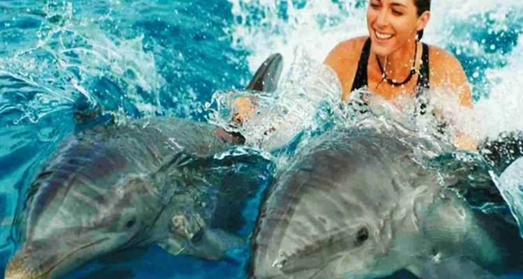 Personne nageant avec des dauphins dans l'océan.