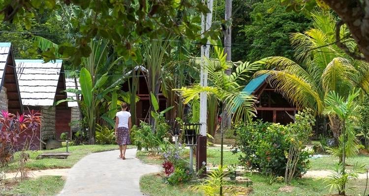 Suriname Highlights - Its Your Trip 6