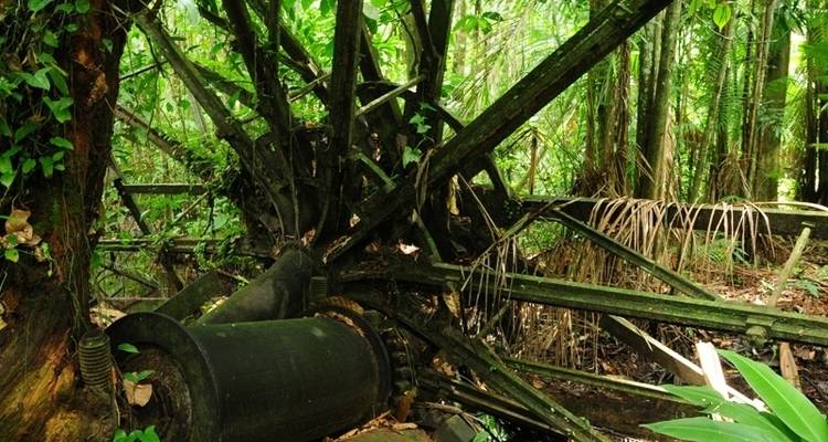 Suriname Highlights - Its Your Trip 7