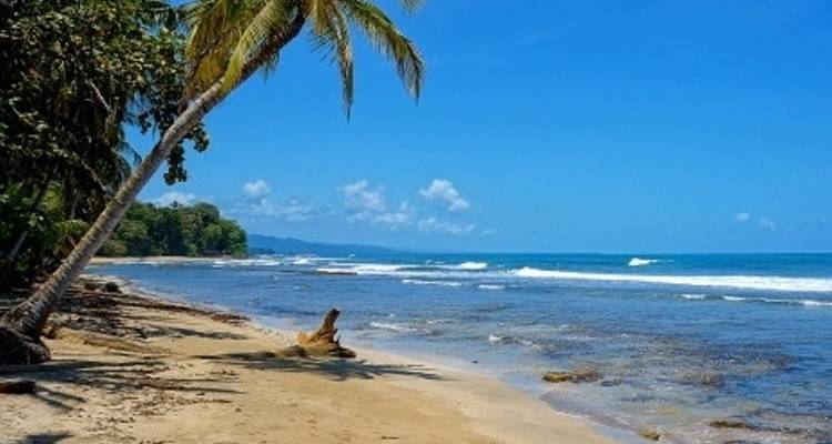Costa Rica Rompepreprecios - Its Your Trip 2