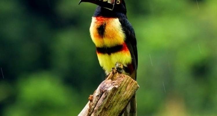 Costa Rica Rompepreprecios - Its Your Trip 5