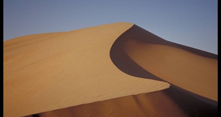 De Dubaï à Abu Dhabi - Its Your Trip 1