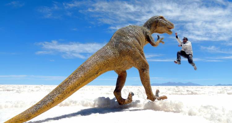 Magnifique Salar de Uyuni - Its Your Trip 5