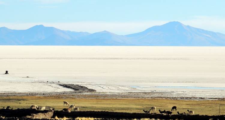 Magnifique Salar de Uyuni - Its Your Trip 2