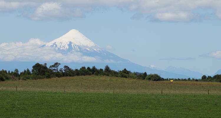 All Chile from South to North With W-Trek and Navimag - Hi Travel Argentina 4