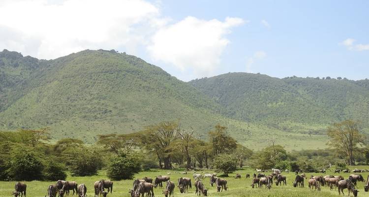10 días - Safari por la naturaleza y vacaciones en la playa de Zanzíbar - Wonders of Creation Tours and Safaris 4