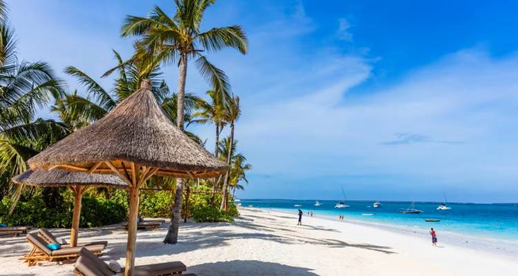 Tropischer Strand mit strohbedeckten Sonnenschirmen und Liegestühlen entlang einer unberührten Küste.