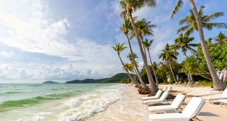 Plage tropicale avec palmiers et chaises longues face à l'océan.