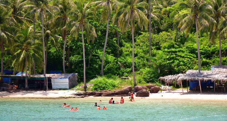 Plage avec des gens qui nagent et des palmiers en arrière-plan.