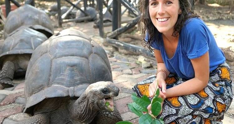 Eine Frau, die in einem Park mit einer großen Schildkröte interagiert.