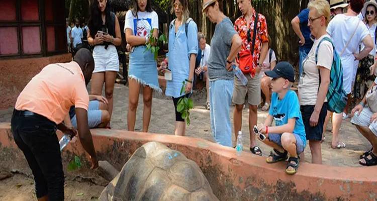 Gruppe von Touristen, die eine große Schildkröte in einem Gehege beobachtet.
