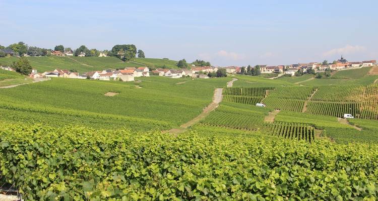 Champagne - The Chain Gang Cycle Tours 6