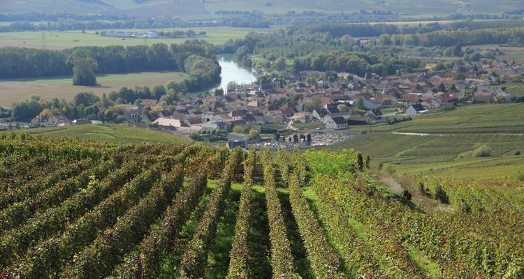 Champagne - The Chain Gang Cycle Tours 7