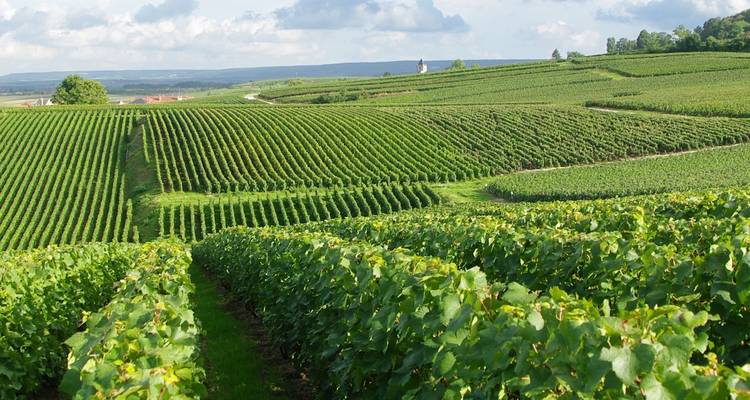 Champagne - The Chain Gang Cycle Tours 8