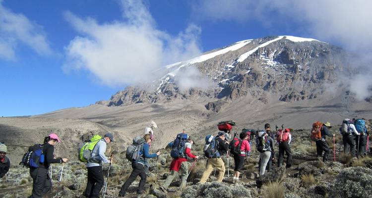 Circuito compartido de 5 días al Kilimanjaro por la ruta de Marangu - Afrishare Trekking And Safaris 4