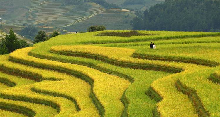 Descubre las maravillas de Vietnam y Camboya en 21 días - Realistic Asia 1