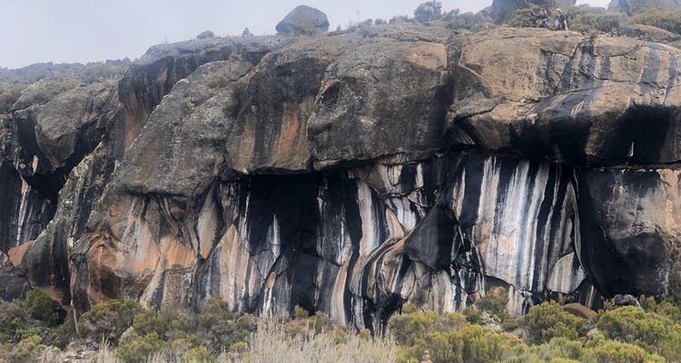 Subida al Kilimanjaro ruta Machame 8 días - Zara Tours (Zara Tanzania Adventures) 4