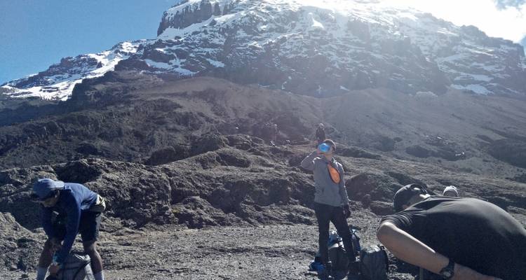 Subida al Kilimanjaro ruta Machame 8 días - Zara Tours (Zara Tanzania Adventures) 7
