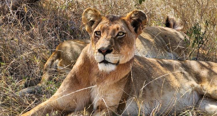 11 JOURS - CIRCUIT TERRESTRE EN NAMIBIE / HÉBERGEMENT - Drifters Adventure Tours 1
