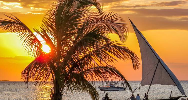 Sunset scene with a palm tree silhouette and sailboat.