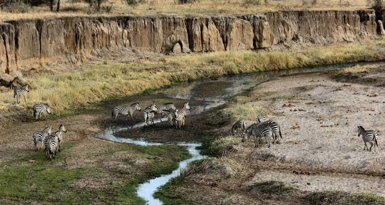 Safari a los 5 grandes en Tanzania - Wonders of Creation Tours and Safaris 3