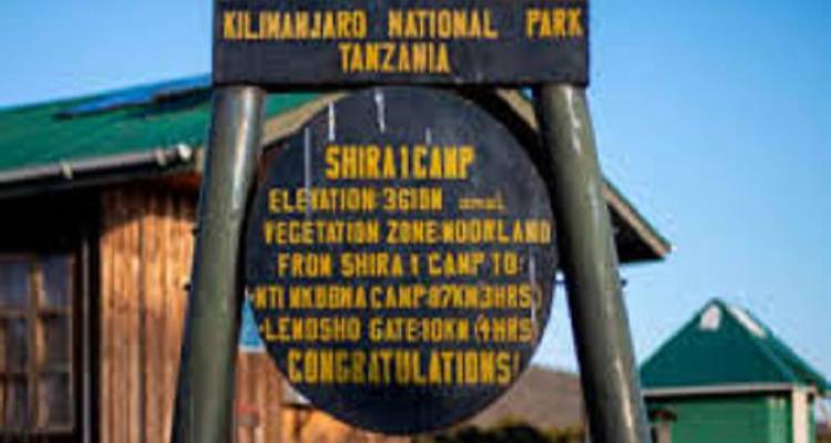 Experience the Ultimate African 12-Day Safari: Mt. Kilimanjaro Hiking and Zanzibar Beach Tour. - Africa Natural Tours 3