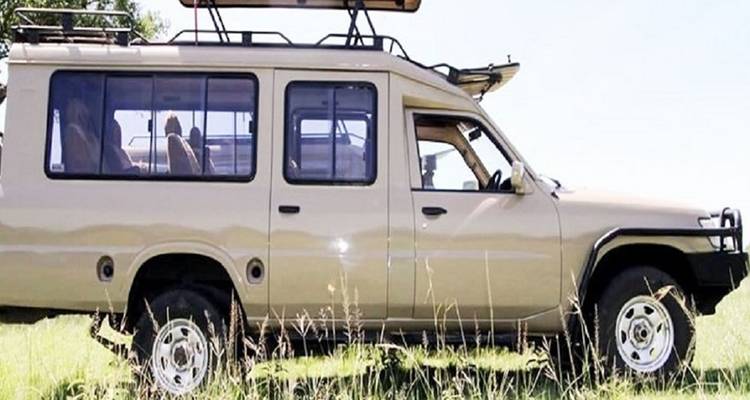 Zijkant van een beige safari 4x4 geparkeerd op open grasland onder een helder lucht.