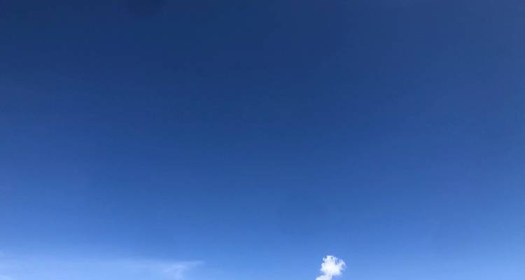 Ascenso al Kilimanjaro por la ruta del circuito norte 9 días**mejor circuito Operador de África y Tanzania 2023/2024 WTA* - Zara Tours (Zara Tanzania Adventures) 7