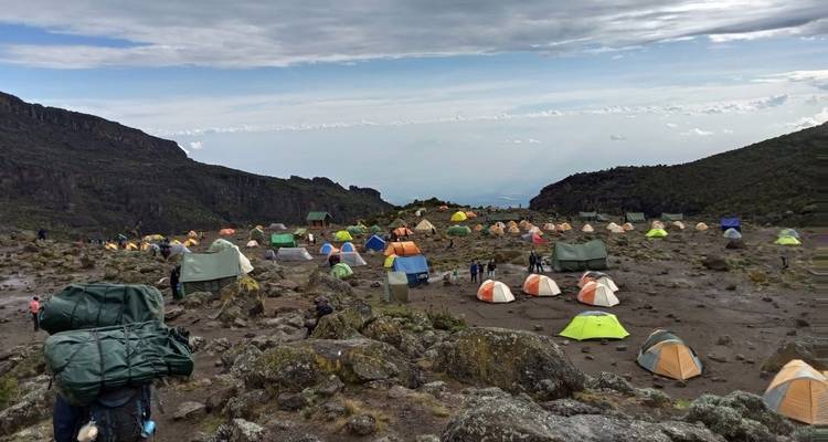 Ascenso al Kilimanjaro por la ruta del circuito norte 9 días**mejor circuito Operador de África y Tanzania 2023/2024 WTA* - Zara Tours (Zara Tanzania Adventures) 9