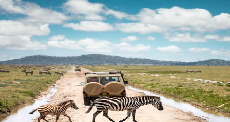 El mejor safari de 10 días por Tanzania y vacaciones en la playa de Zanzíbar con un precio razonable - Africa Natural Tours 3