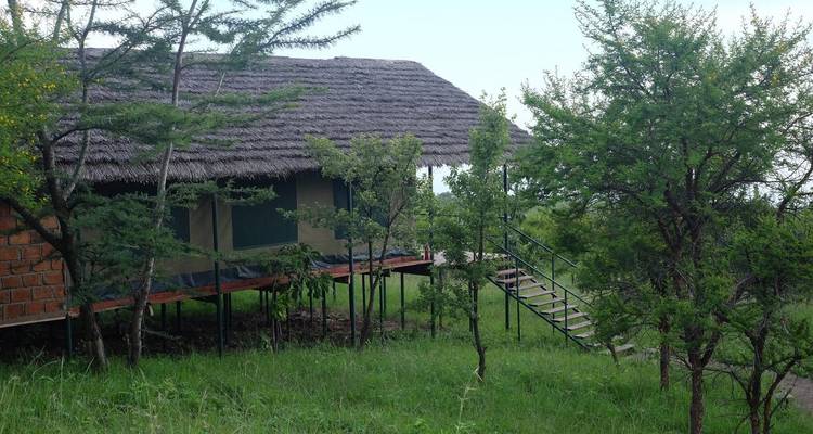 Verhoogde safaritent verscholen tussen de bomen.