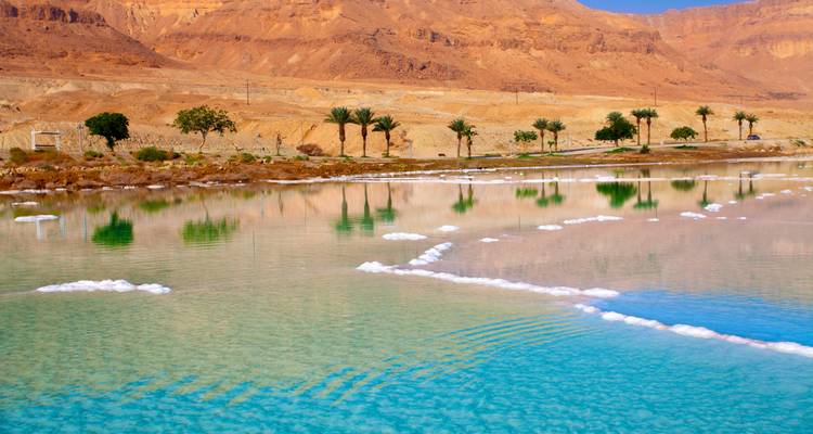Kleurrijke reflecties op de Dode Zee met palmbomen.