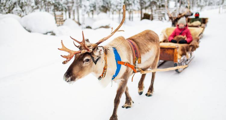 Finlande : l'aventure hivernale - SKR Reisen 1