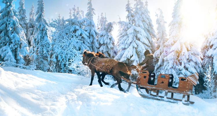 Finlande : l'aventure hivernale - SKR Reisen 2