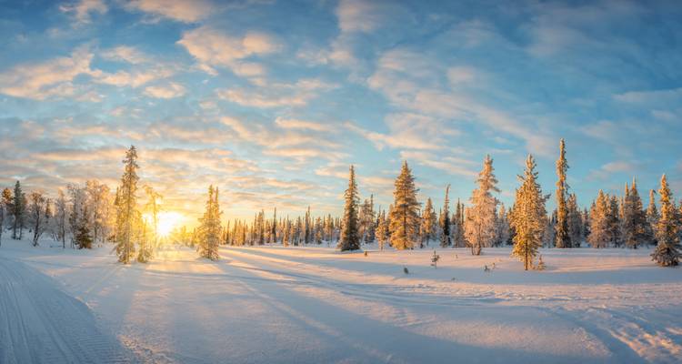 Finlande : l'aventure hivernale - SKR Reisen 3