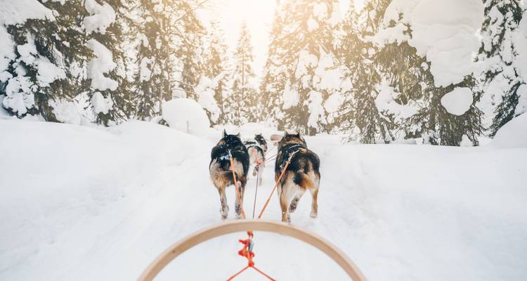 Finlande : l'aventure hivernale - SKR Reisen 4