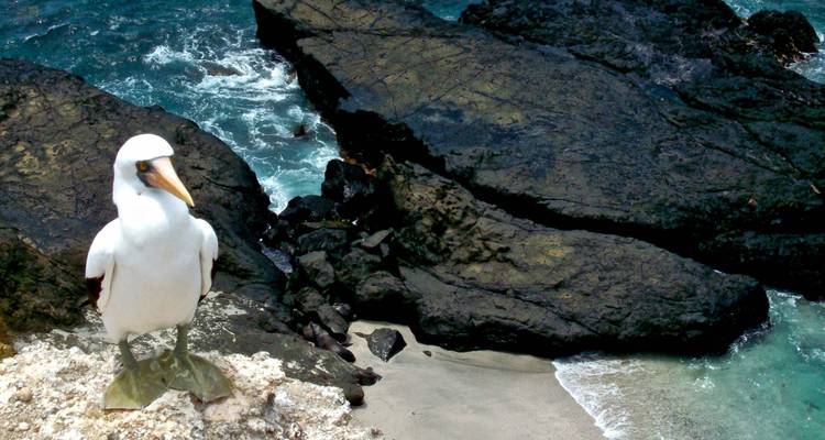 15 Days Exploring Ecuador's Wonders - Responsible Travel South America 9