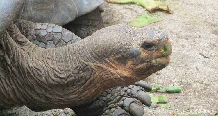 Lo mejor de Galápagos en 6 días - Responsible Travel South America 1