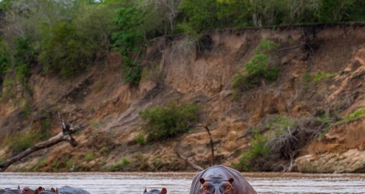 3 Days – Nyerere National Park Safari - Wonders of Creation Tours and Safaris 6