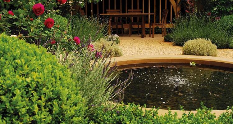 Cour de jardin luxuriante avec un petit bassin de fontaine circulaire, des fleurs roses et rouges en fleurs et de la verdure taillée créant un cadre paisible