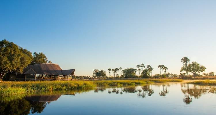 Une vue sereine d'un lodge au bord d'une rivière avec une savane verdoyante et des palmiers en arrière-plan.