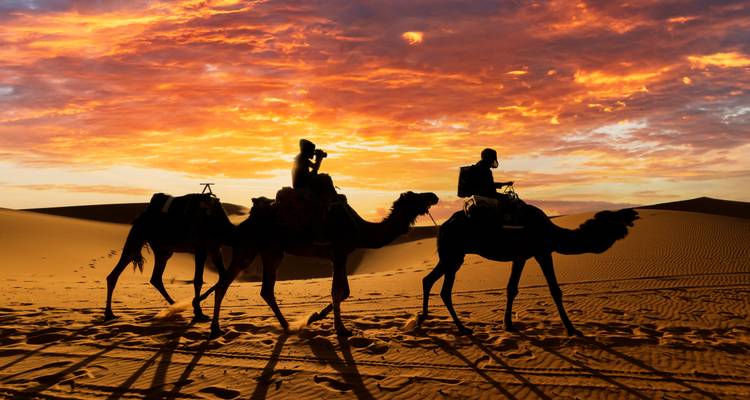 2 Day Marrakech to the Desert (M'hamid) - Discover Morocco Tours 7