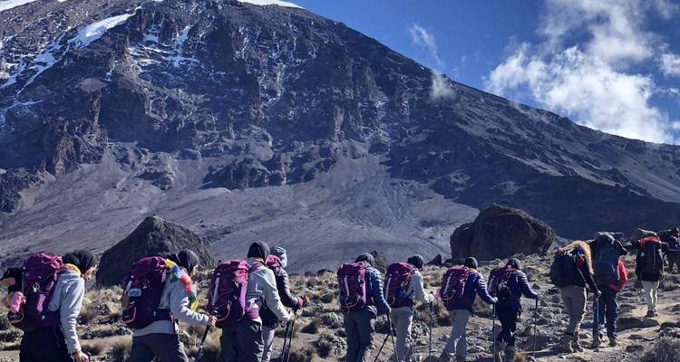Kilimanjaro Lemosho Route 9 Days - Zara Tours (Zara Tanzania Adventures) 3