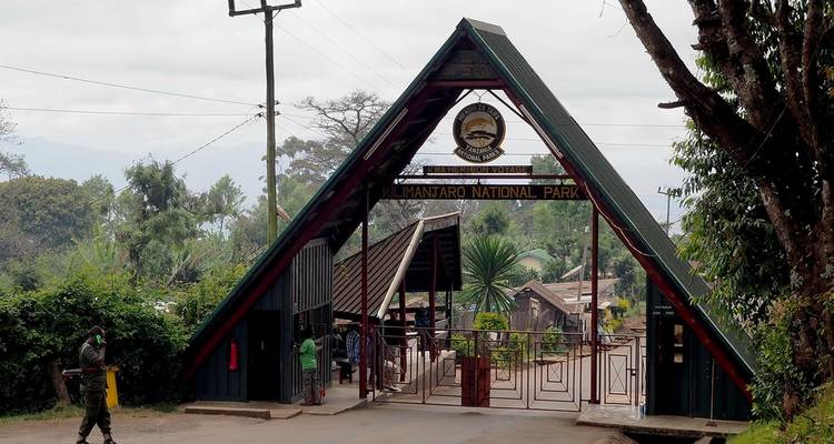 Kilimanjaro Lemosho Route 9 Days - Zara Tours (Zara Tanzania Adventures) 7