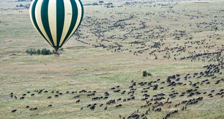 Experience the Serengeti Migration Safari with Our 3-Day Game Package  with Pocket-Friendly Price - Africa Natural Tours 3