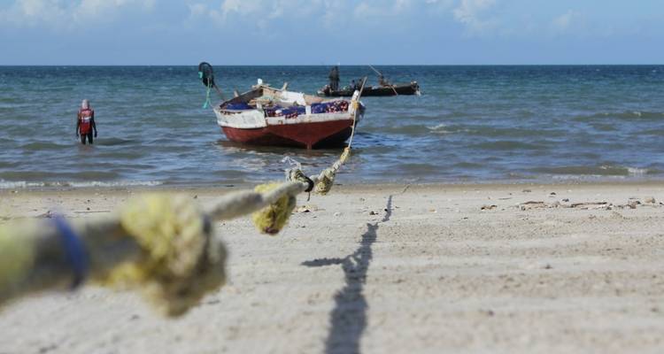 5 Days - Bagamoyo African Art Tour - Wonders of Creation Tours and Safaris 4