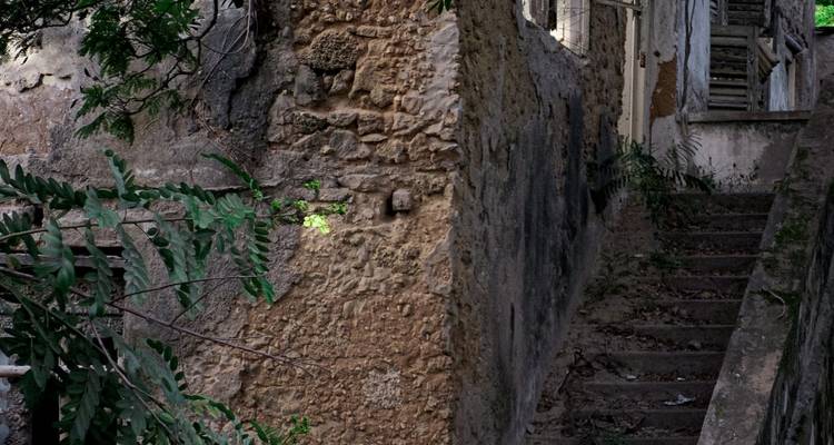 5 Days - Bagamoyo African Art Tour - Wonders of Creation Tours and Safaris 7